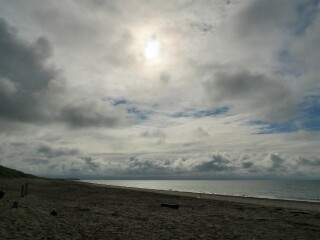 Thread 47- Covid GCSE Cohort - Summer's running away from us! 