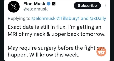 Musk v Zuckerberg cage fight?