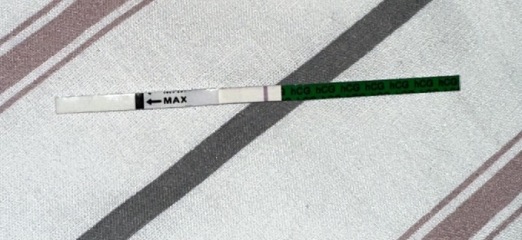 Pregnancy