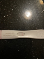 11dpo