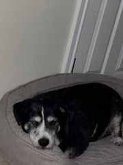 Cancer Support Thread 89 - the best thread that no one wants to be on.