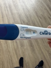 Clear blue test. Evap line or positive