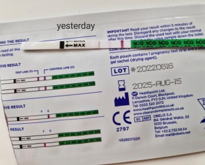 Faint line / floode strip test?