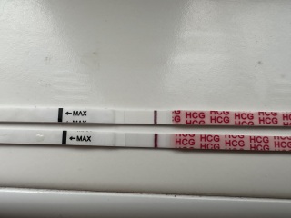 2DPO