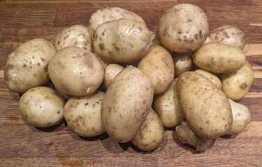 The Vegetable Patch Mark 2