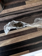 To think this could be drugs?