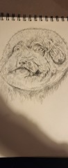 I started doing some art /drawing again...