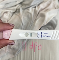 11dpo