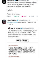 Could Elon Musk help feminists?
