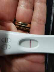 Dark OPK at 8dpo