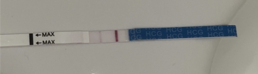 Pregnancy
