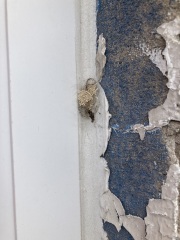 What little beasts are about to be spawned from this?