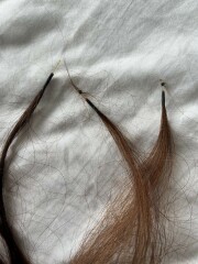 Nano bead extensions keep falling out - help!!!