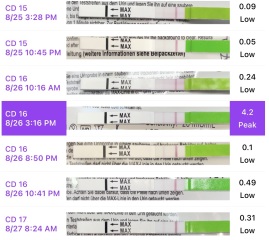 Would you trust the opk Pre mom ratio?