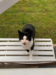 What's your pet doing right now?