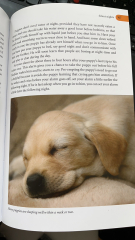 Puppy survival thread part 2