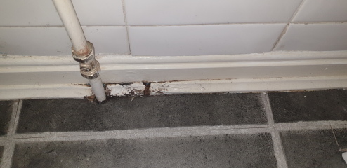Is this mould caused by a leak?