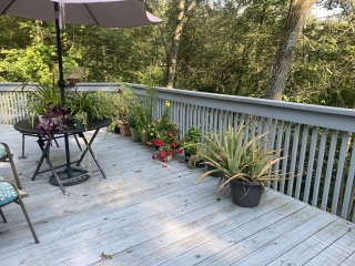 Come and tell me your dull and unexciting news 26: Calmly through the day 