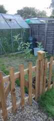 Garden, blank canvas!