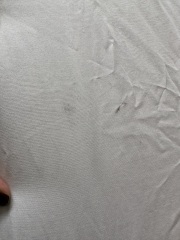 Evidence of Bed bugs needed