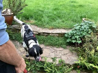 Thread 9 - TalkLair: “Russell's teapot goes on being round”