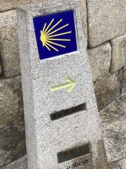 The Saxenda Sisterhood 