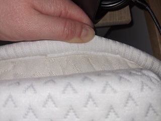 Bed bugs?