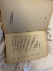 What was your favourite Enid Blyton book?