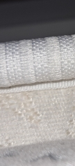 Bed bugs?