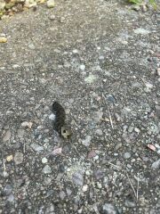 What is this?