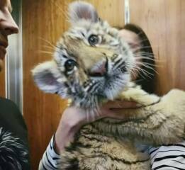 Ukraine Invasion: Part 43