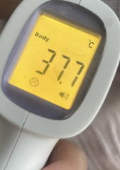 AIBU - unwell during pregnancy