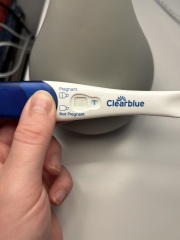 7dpo