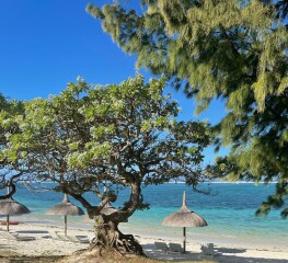 Anyone going to Mauritius in Aug 2024?