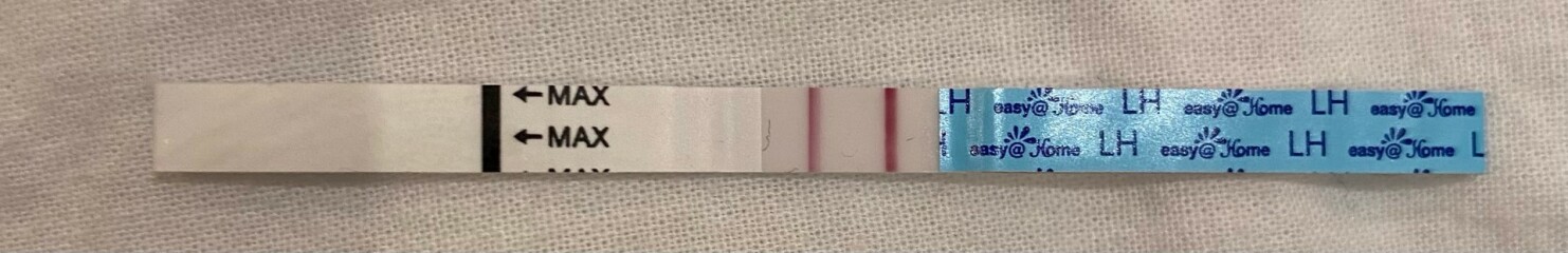 Positive OPK?