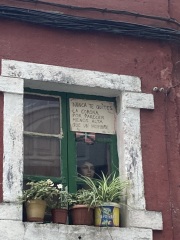 The Saxenda Sisterhood 