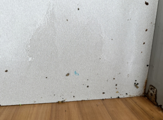AIBU to expect landlord to replace kitchen?