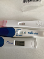 Testing negative, period due in 2 days