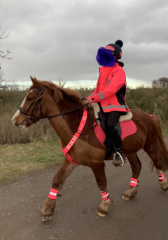 Best hi-vis for hacking