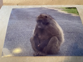 50 Books Challenge 2023 Part Seven 