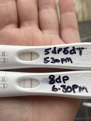 Too scared to get excited