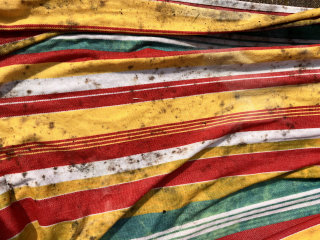 Photo-Removing Black Mould from Fabric