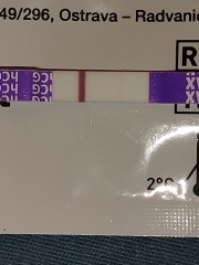 Can you see the line?