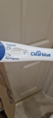 1DPO... Any tww buddies? 