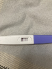 4 weeks pregnant / due April 2024