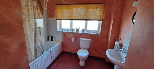 Bathroom - partially covering a window void for a shower - pictures?