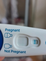 Clear blue test. Evap line or positive