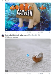 Women's rights general conversations - Thread 6