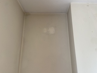 Is this mould?