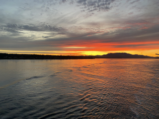 Come and tell me your dull and unexciting news 26: Calmly through the day 